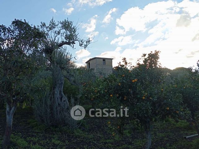 Terreno agricolo in commerciale in Contrada Piana Calzata