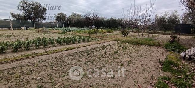 Terreno agricolo in commerciale in Contrada Sgariglia