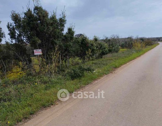 Terreno agricolo in commerciale in Strada Provinciale 210