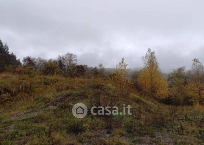 Terreno agricolo in commerciale in Strada Statale 65 della Futa