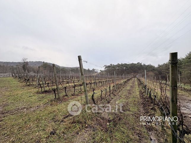 Terreno agricolo in commerciale in SS45bis