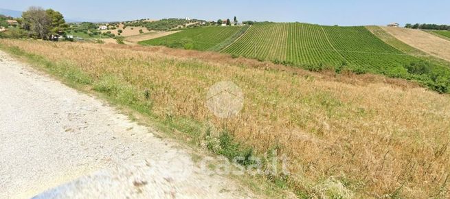 Terreno agricolo in commerciale in Via San Martino 1