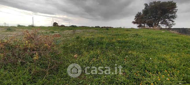 Terreno agricolo in commerciale in Contrada San NicolÃ² Le Canne