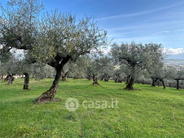 Terreno agricolo in commerciale in Via Madonna delle Grazie