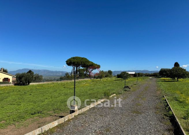 Terreno agricolo in commerciale in Via di Fontana Candida