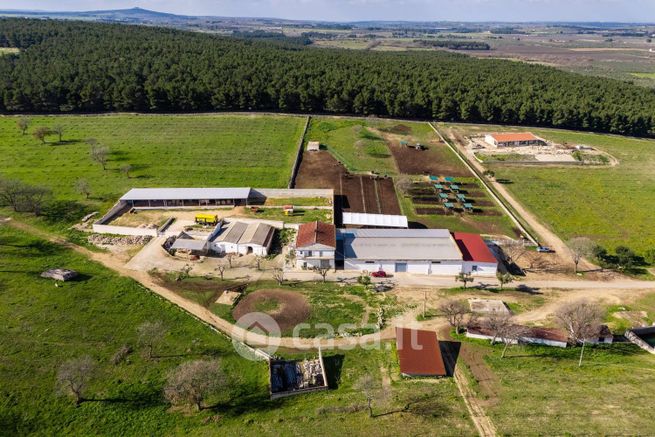 Rustico/casale in residenziale in Strada Senza Nome