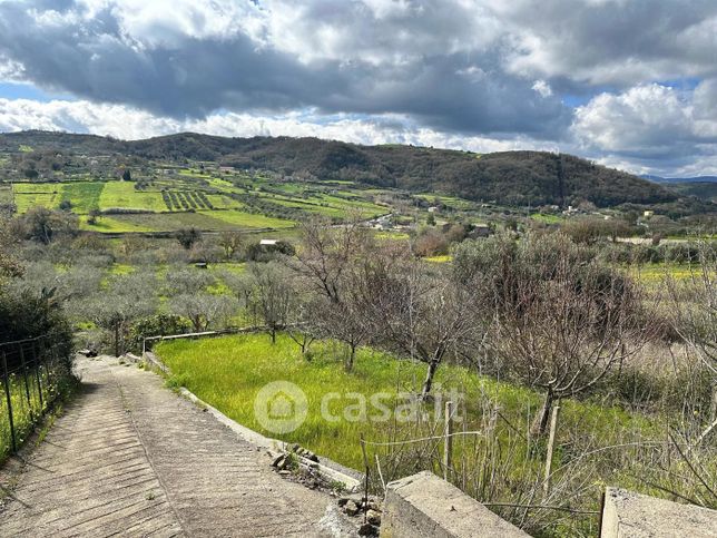 Terreno agricolo in commerciale in Via Rotella