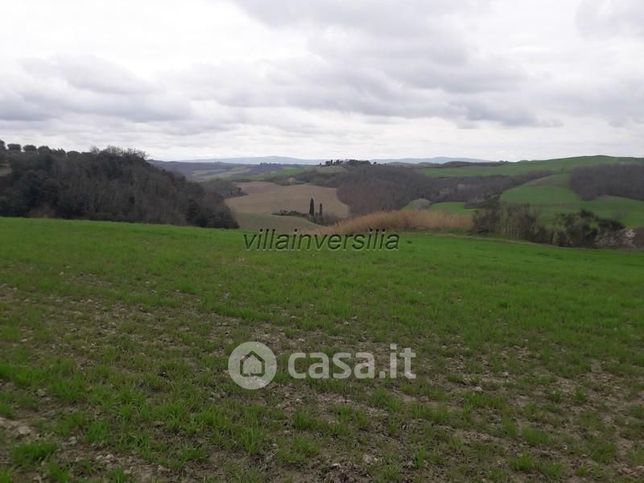 Terreno agricolo in commerciale in Località Castellarino