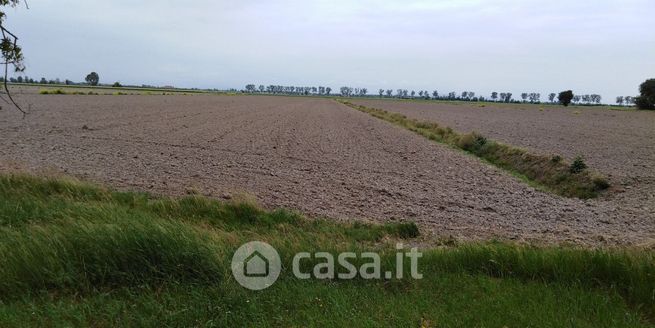 Terreno agricolo in commerciale in 