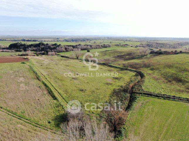 Terreno agricolo in commerciale in Piazza Vulci