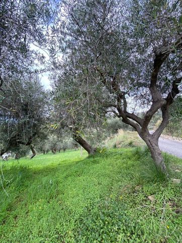 Terreno agricolo in commerciale in Contrada Aletta