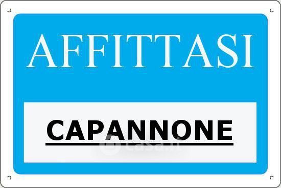 Capannone in commerciale in Strada Regionale 245