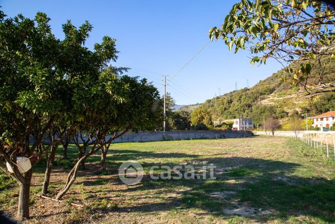 Terreno agricolo in commerciale in Via Francesco Crispi 289