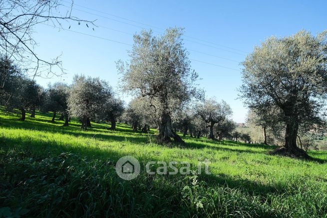 Terreno agricolo in commerciale in Via Colombara