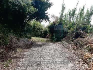 Terreno agricolo in commerciale in Via Piammarano