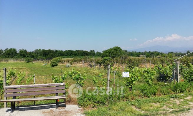 Terreno agricolo in commerciale in Via Giacomo Barucchi