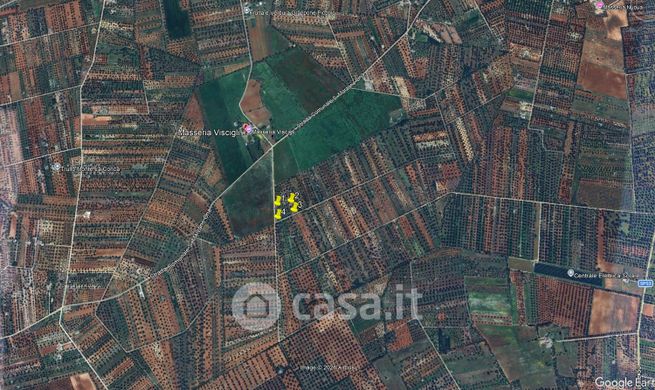 Terreno agricolo in commerciale in Contrada VISCIGLI