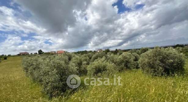 Terreno agricolo in commerciale in Via delle Selve Nuove