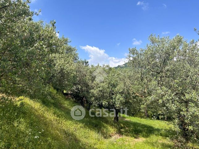 Terreno agricolo in commerciale in Via Calcarole