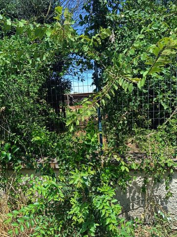 Terreno agricolo in commerciale in Via petroli 5