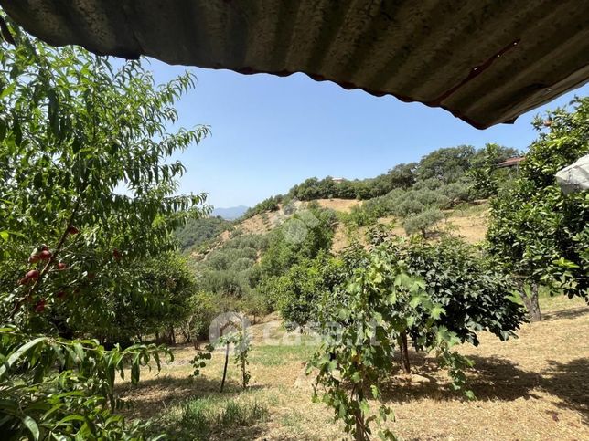 Terreno agricolo in commerciale in Località Fontana