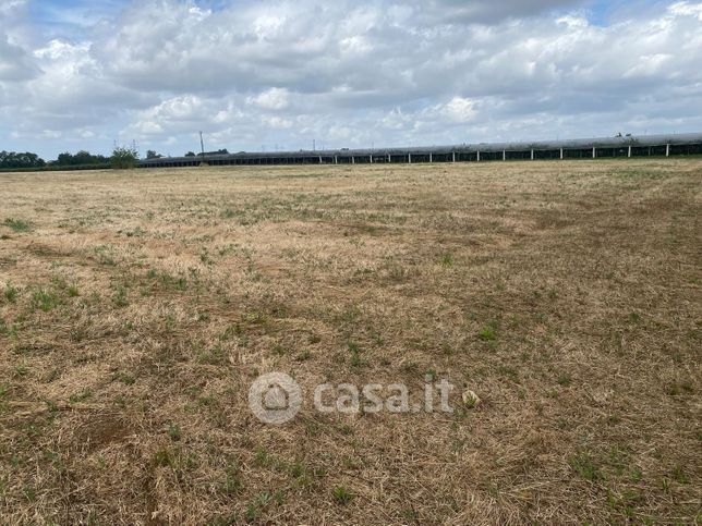 Terreno agricolo in commerciale in Via Bufolareccia