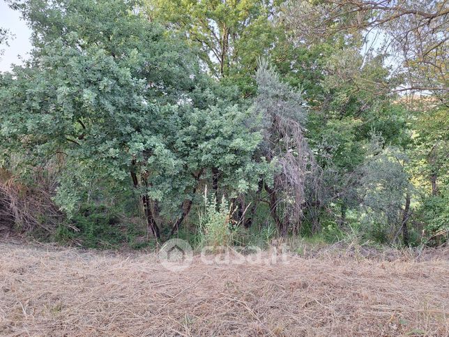 Terreno agricolo in commerciale in Via Mossa dei Barberi 61