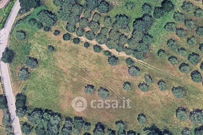 Terreno agricolo in commerciale in Via Caprini