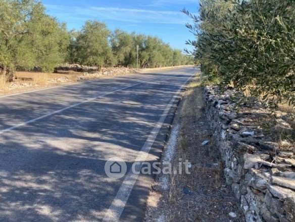 Terreno agricolo in commerciale in Strada Provinciale 56