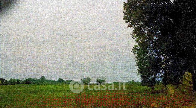 Terreno agricolo in commerciale in Strada del Siccomario