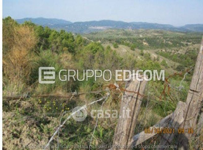 Terreno edificabile in residenziale in Strada Statale 109 della Piccola Sila