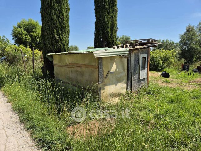 Terreno agricolo in commerciale in Via Scansanese 198