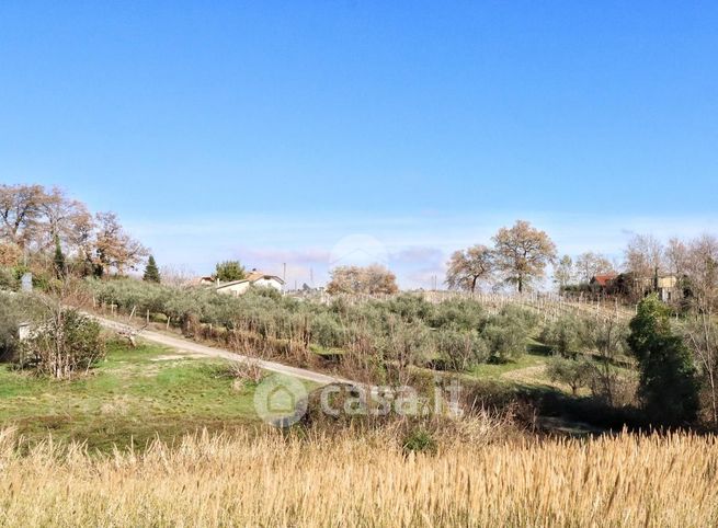 Terreno agricolo in commerciale in Via della Fornace 14