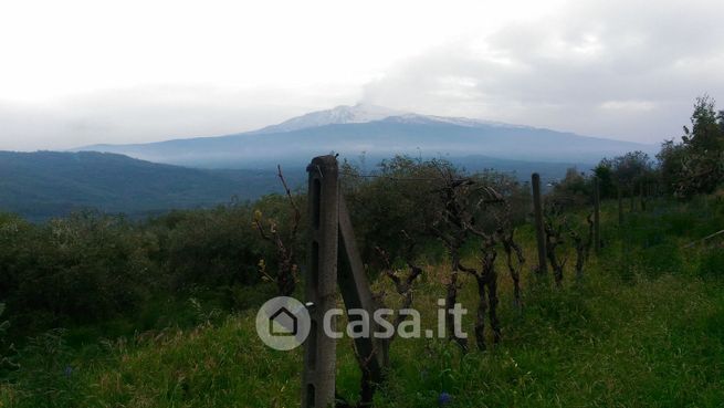 Terreno agricolo in commerciale in SP7i 95012