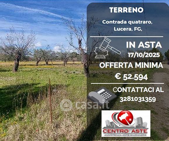 Terreno agricolo in commerciale in Contrada Quatraro