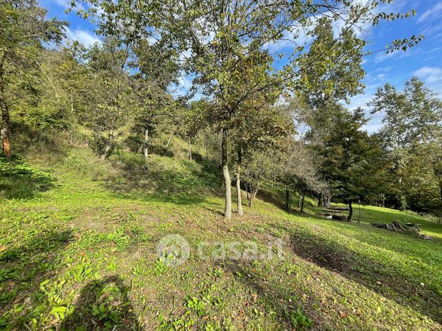 Terreno agricolo in commerciale in Via Colombaia 10