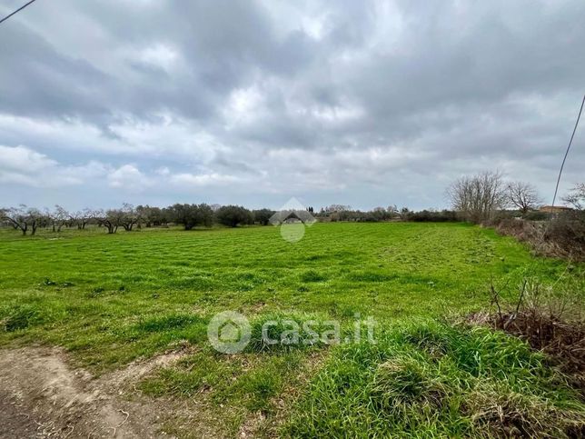 Terreno agricolo in commerciale in Strada Provinciale Verentana