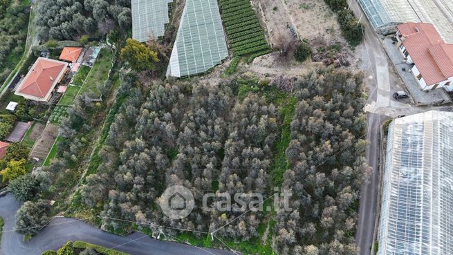 Terreno agricolo in commerciale in Via Gallina