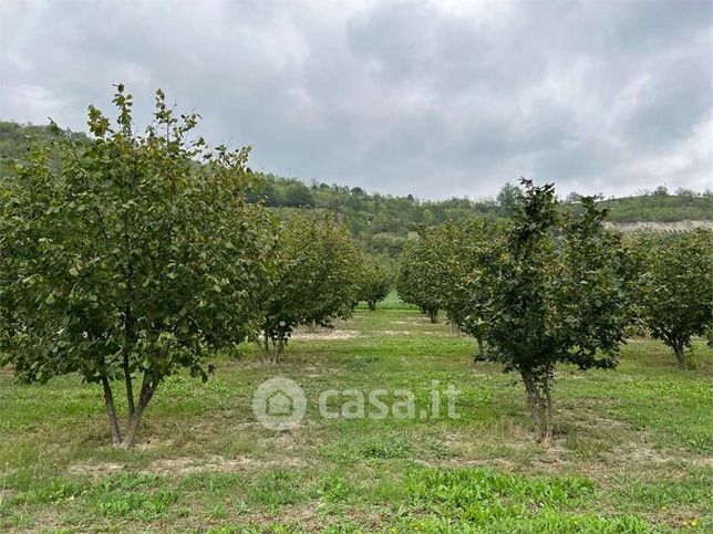 Terreno agricolo in commerciale in 