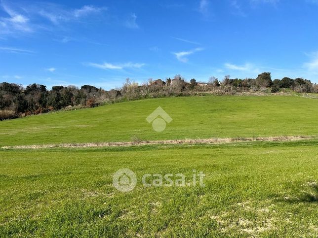 Terreno agricolo in commerciale in Località San Giuliano