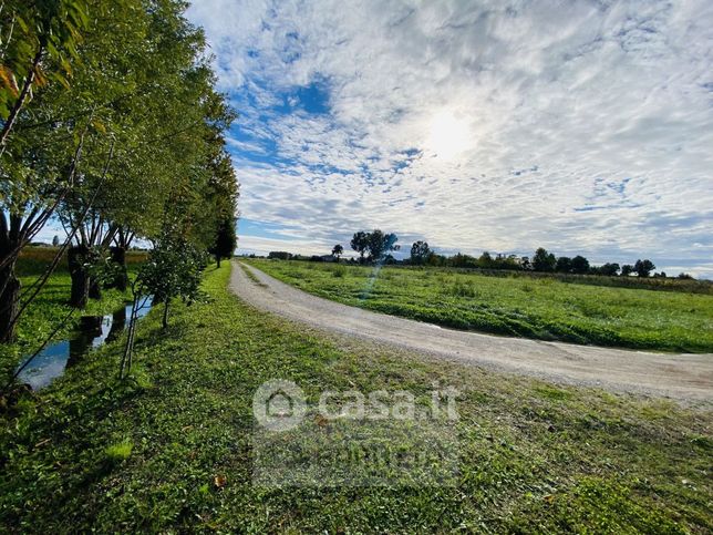 Terreno agricolo in commerciale in Via Pelosa 152