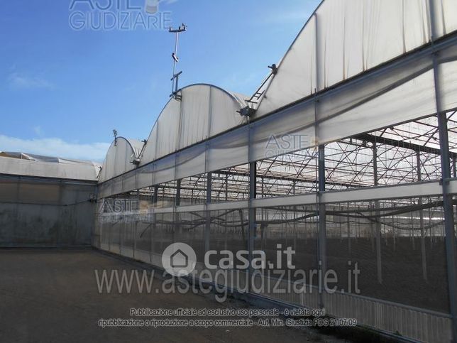 Terreno agricolo in commerciale in Via Fosso Calabrese