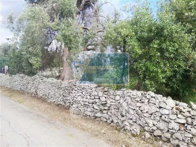 Terreno agricolo in commerciale in 