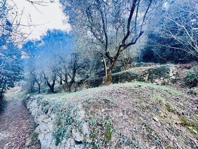 Terreno agricolo in commerciale in Via Monte Brione 16