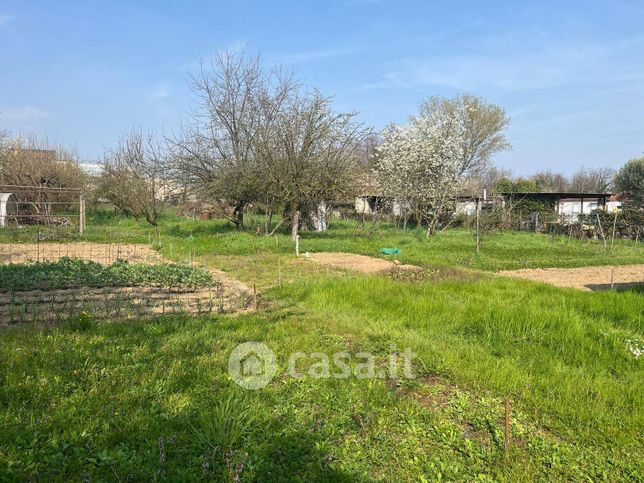 Terreno agricolo in commerciale in Via Tagliamento