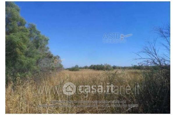 Terreno agricolo in commerciale in Via Idra