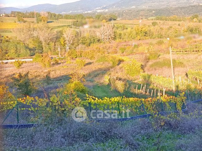 Terreno agricolo in commerciale in 