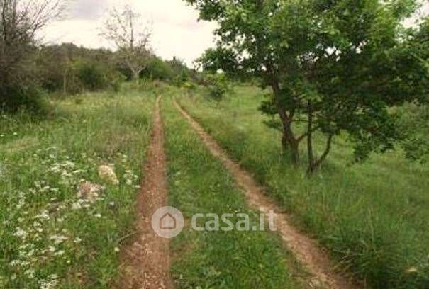 Terreno agricolo in commerciale in Strada Provinciale 90