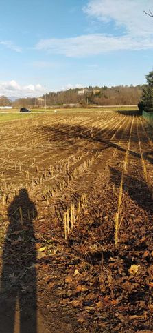 Terreno agricolo in commerciale in Via per Venegono