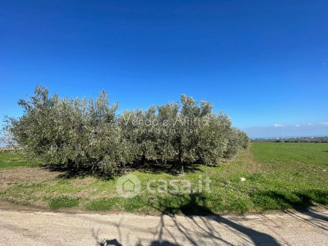 Terreno agricolo in commerciale in 